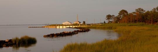 Photo: Holts Landing State Park