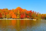 Fall foliage at scenic Lums Pond State Park