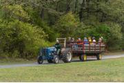 Photo: Public Wagon Rides