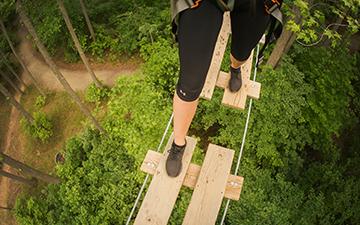 Photo Representing Go Ape at Lums Pond State Park